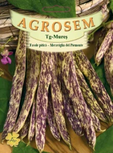 Meraviglia del Piemonte 40g - Seminte fasole pitica, Agrosem